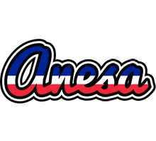 Anesa france logo