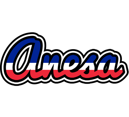 Anesa france logo