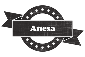 Anesa grunge logo