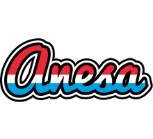 Anesa norway logo