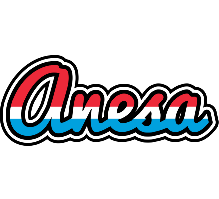 Anesa norway logo