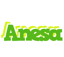 Anesa picnic logo