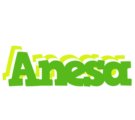 Anesa picnic logo