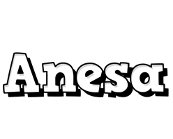 Anesa snowing logo