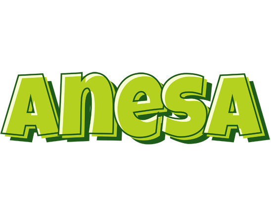 Anesa summer logo