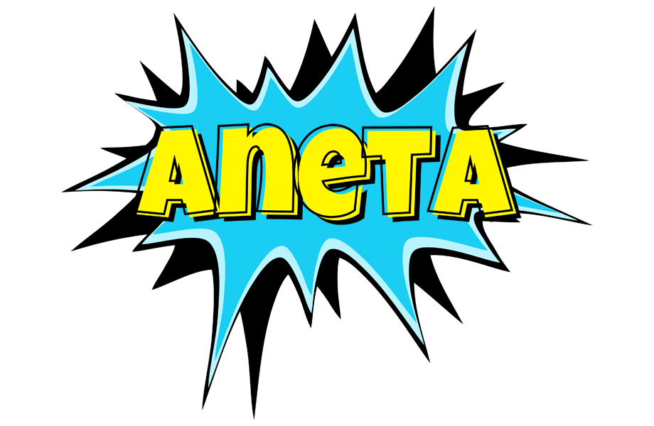 Aneta amazing logo
