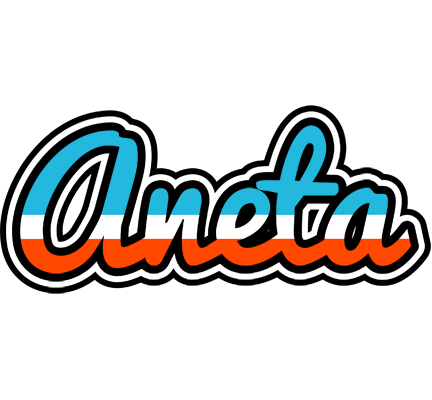 Aneta america logo