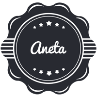 Aneta badge logo