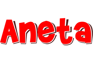 Aneta basket logo