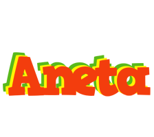 Aneta bbq logo