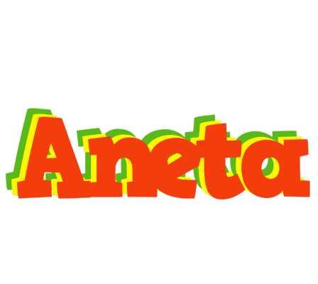 Aneta bbq logo