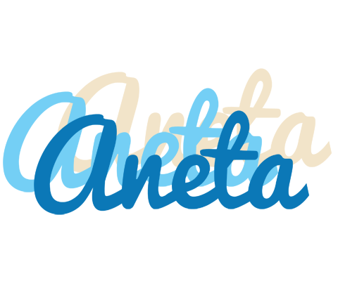 Aneta breeze logo