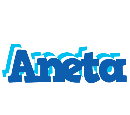 Aneta business logo