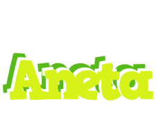 Aneta citrus logo