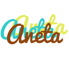 Aneta cupcake logo