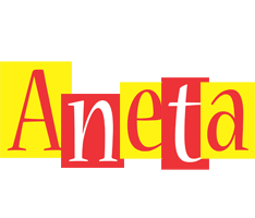 Aneta errors logo