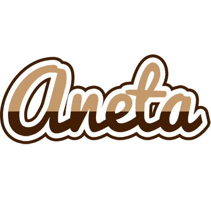 Aneta exclusive logo
