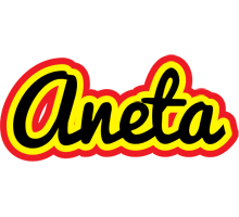 Aneta flaming logo