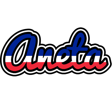 Aneta france logo