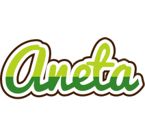 Aneta golfing logo