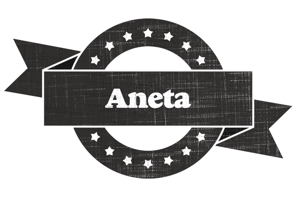 Aneta grunge logo
