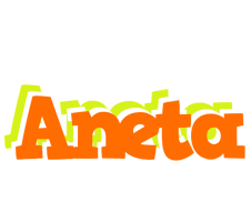Aneta healthy logo