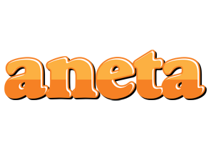 Aneta orange logo