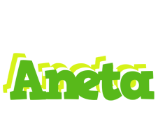 Aneta picnic logo