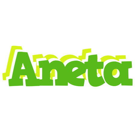 Aneta picnic logo