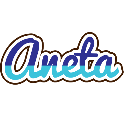 Aneta raining logo