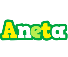 Aneta soccer logo