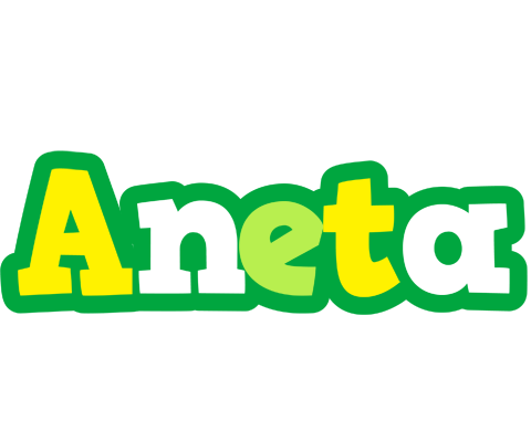 Aneta soccer logo