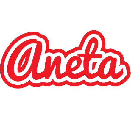 Aneta sunshine logo
