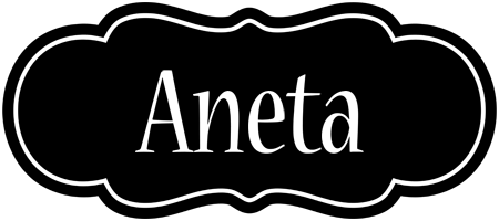 Aneta welcome logo