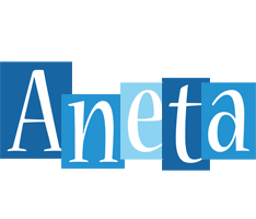 Aneta winter logo