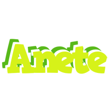 Anete citrus logo