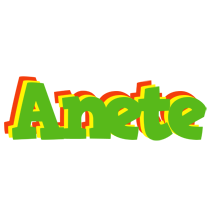 Anete crocodile logo