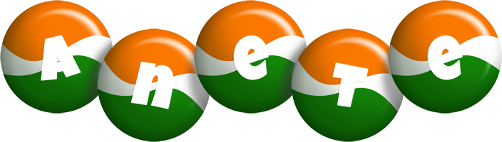 Anete india logo