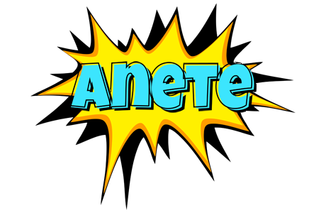Anete indycar logo