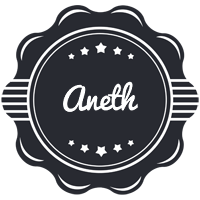 Aneth badge logo