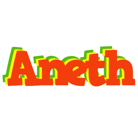 Aneth bbq logo