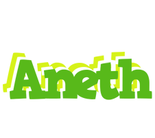 Aneth picnic logo