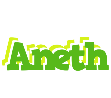 Aneth picnic logo