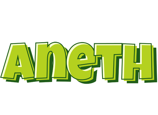 Aneth summer logo