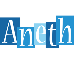 Aneth winter logo
