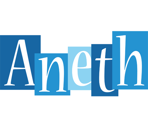 Aneth winter logo