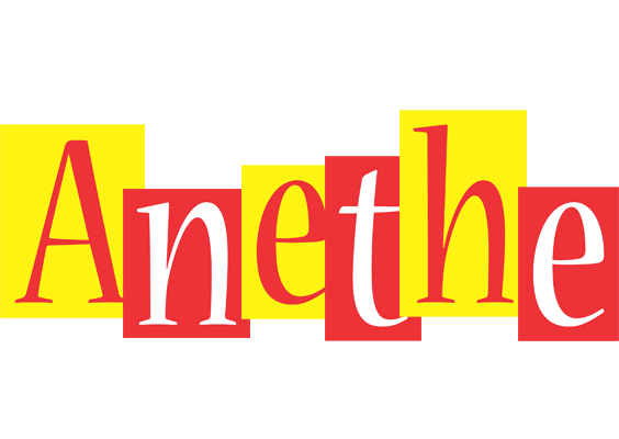 Anethe errors logo
