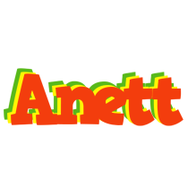 Anett bbq logo