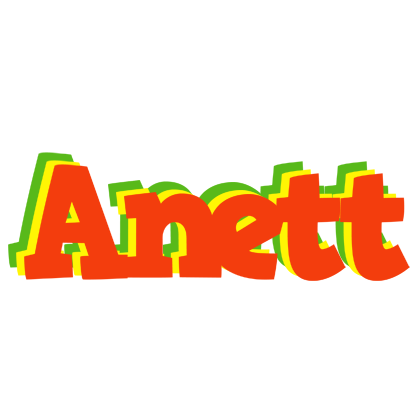 Anett bbq logo