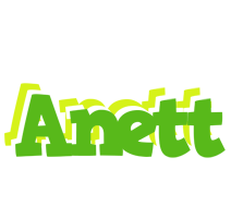 Anett picnic logo